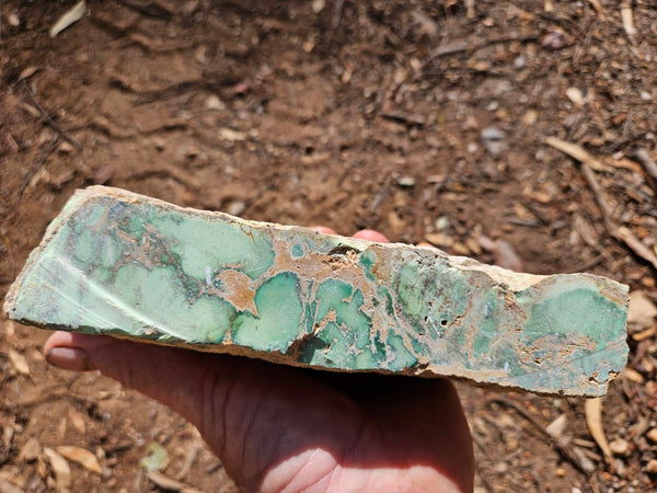 Variscite rough. VR611