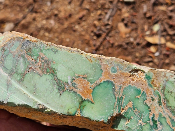 Variscite rough. VR611