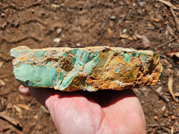 Variscite rough. VR611