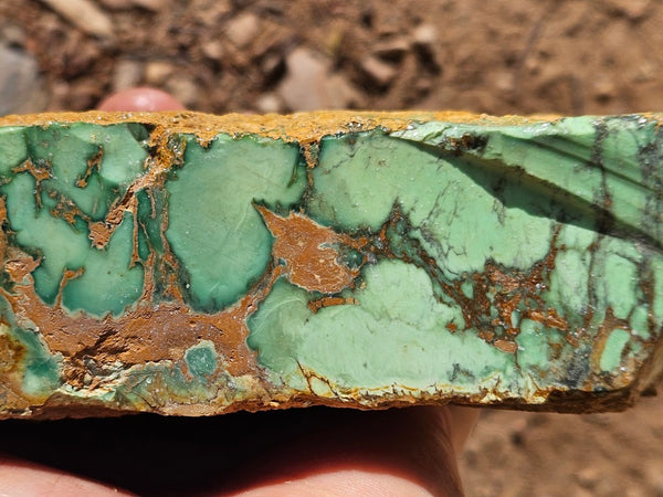 Variscite rough. VR611