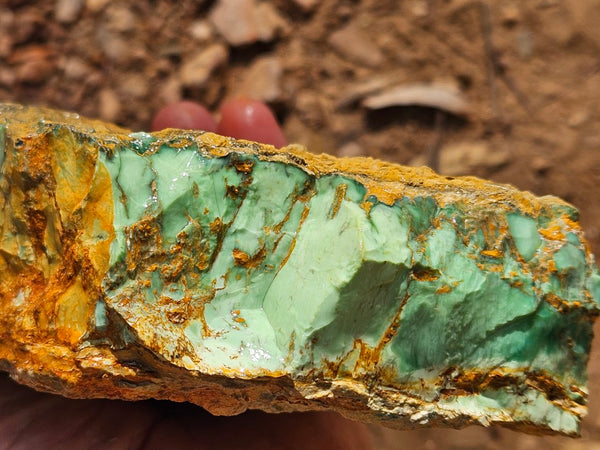 Variscite rough. VR611