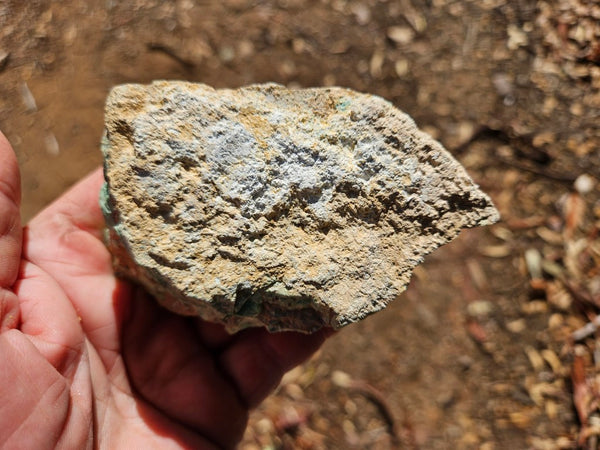 Variscite rough. VR612