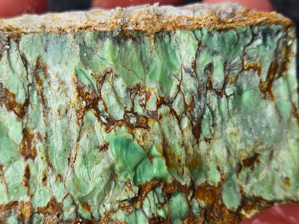 Variscite rough. VR612