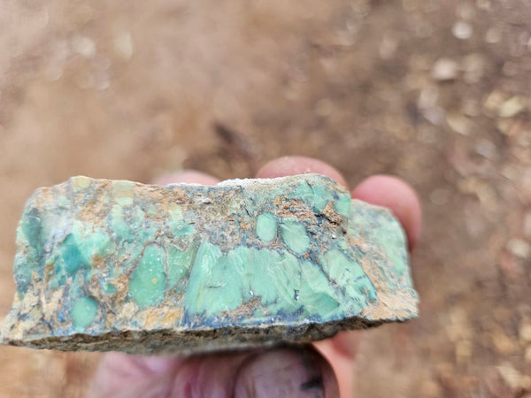 Variscite rough. VR613
