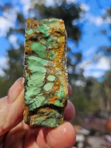 Variscite rough. VR613