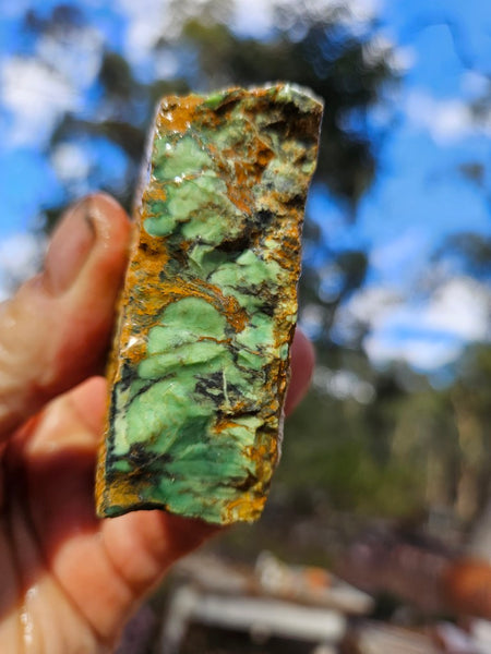 Variscite rough. VR613