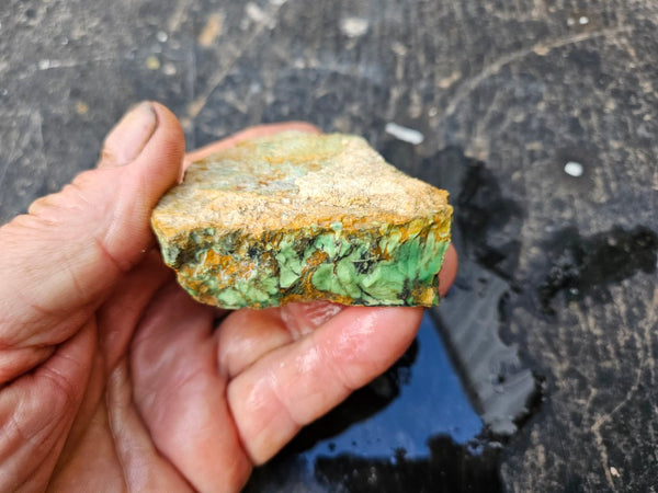 Variscite rough. VR613