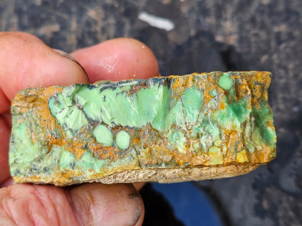 Variscite rough. VR613