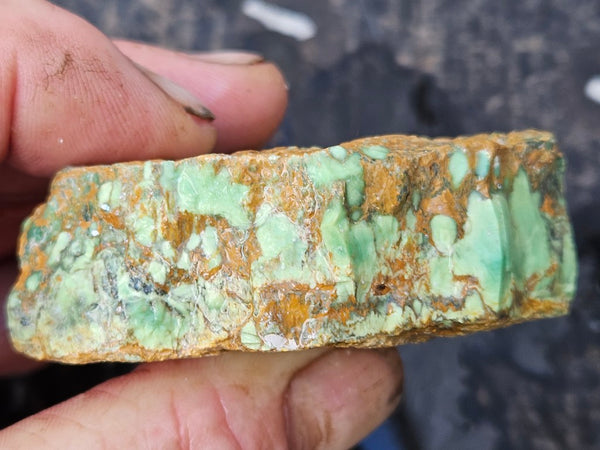 Variscite rough. VR613