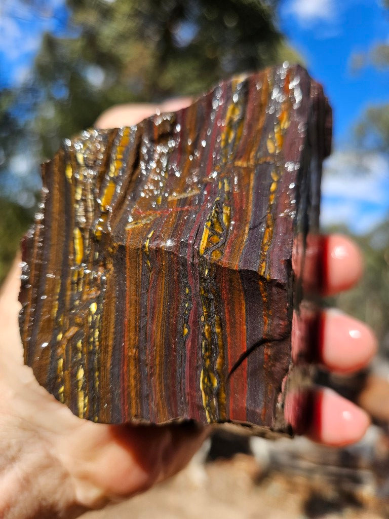 Tiger Iron rough rock TIR185