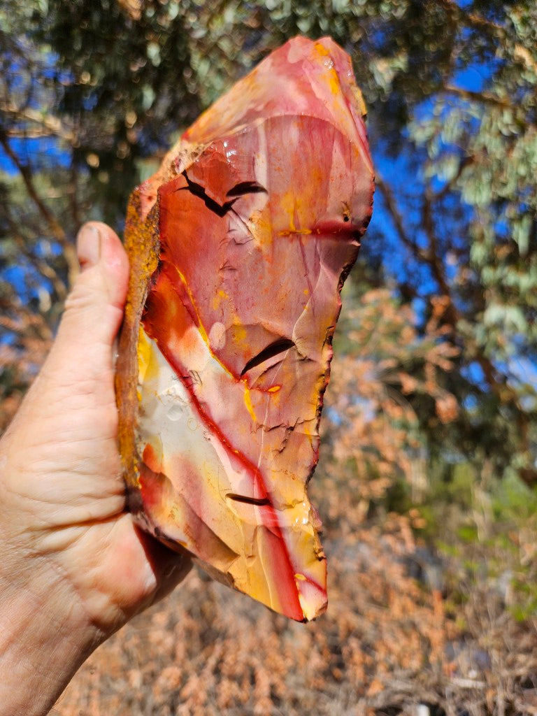Mookaite rough.  MKR 294