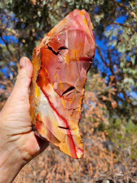Mookaite rough.  MKR 294