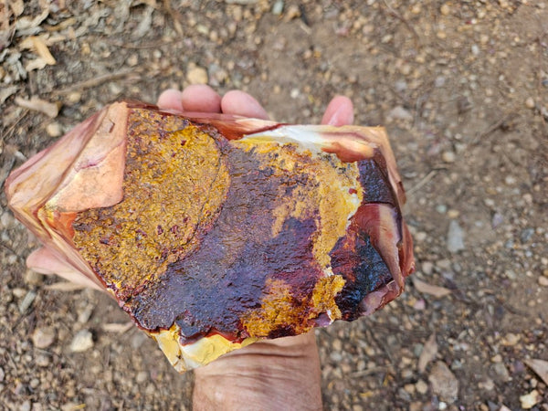 Mookaite rough.  MKR 294