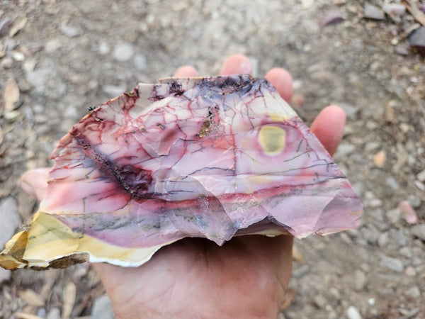 Mookaite rough.  MKR 295