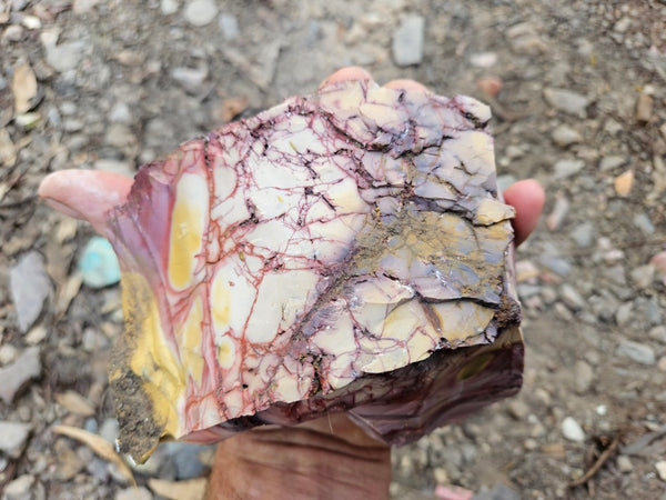 Mookaite rough.  MKR 295