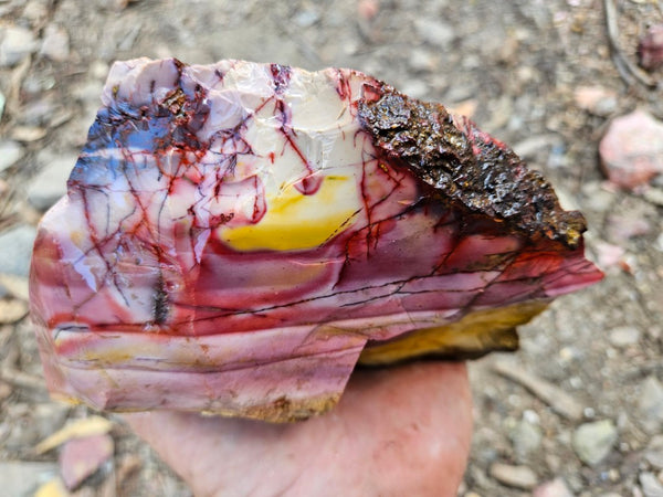 Mookaite rough.  MKR 295