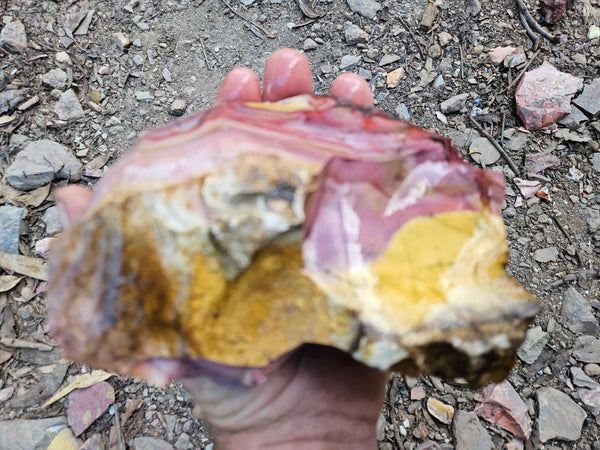 Mookaite rough.  MKR 295