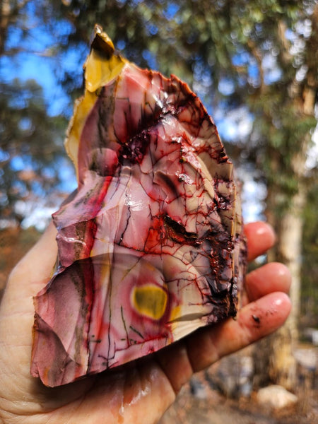Mookaite rough.  MKR 295
