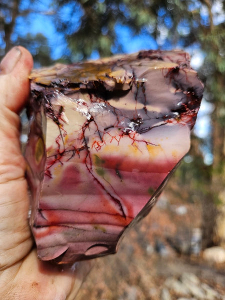 Mookaite rough.  MKR 295
