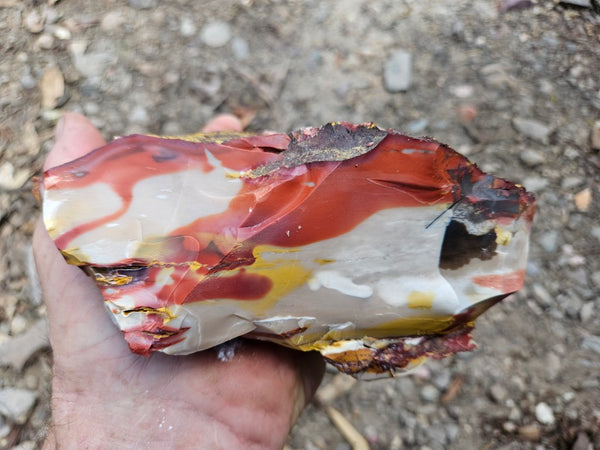 Mookaite rough.  MKR 297