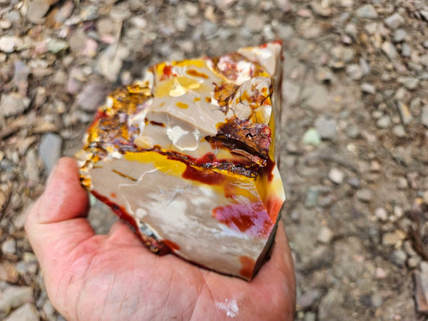 Mookaite rough.  MKR 297