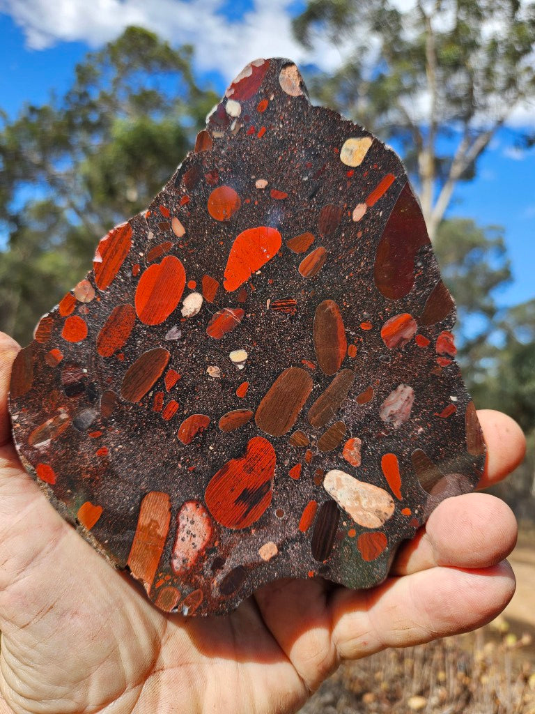 Jelly Bean Jasper polished slab JBJ364