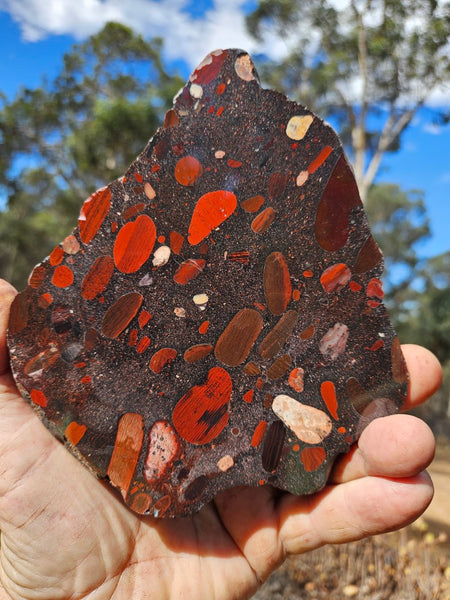 Jelly Bean Jasper polished slab JBJ364