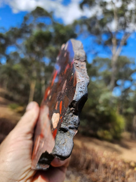 Jelly Bean Jasper polished slab JBJ364