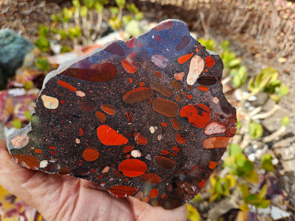 Jelly Bean Jasper polished slab JBJ364