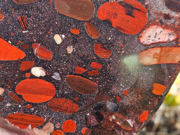 Jelly Bean Jasper polished slab JBJ364