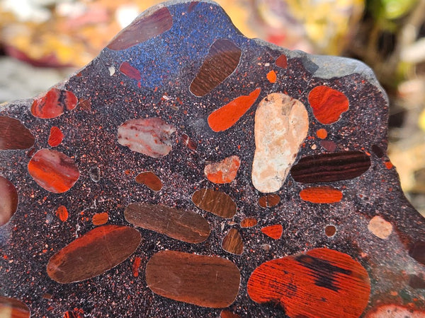 Jelly Bean Jasper polished slab JBJ364