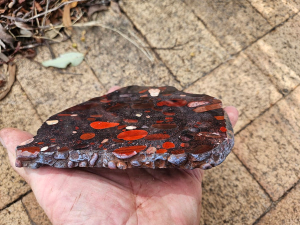 Jelly Bean Jasper polished slab JBJ364