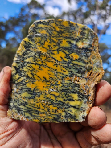 Polished Dendritic Opal slab DO239