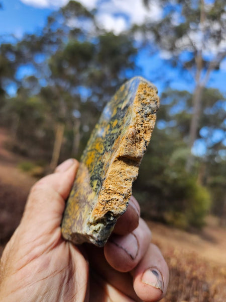 Polished Dendritic Opal slab DO239