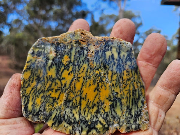 Polished Dendritic Opal slab DO239