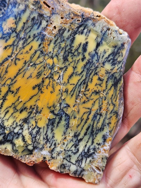 Polished Dendritic Opal slab DO239