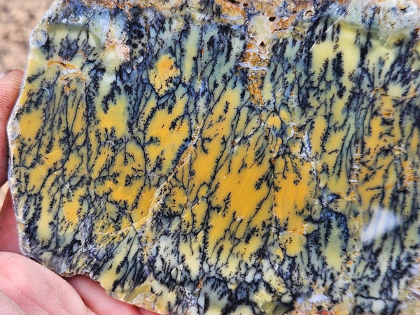 Polished Dendritic Opal slab DO239