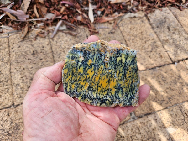 Polished Dendritic Opal slab DO239