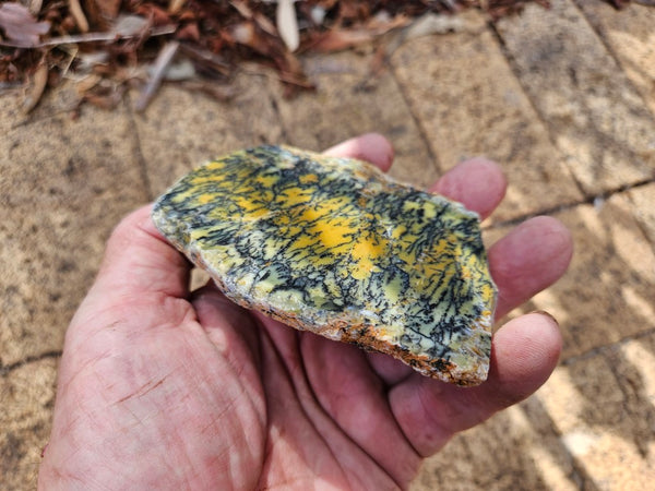 Polished Dendritic Opal slab DO239