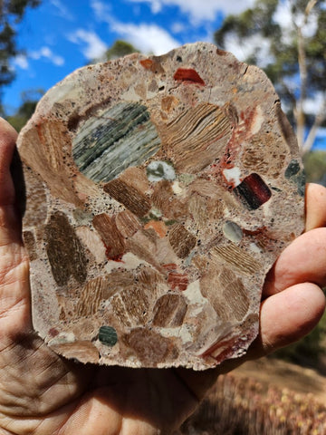 Polished Marillana Conglomerate slab MC129