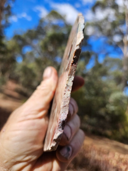 Polished Marillana Conglomerate slab MC129