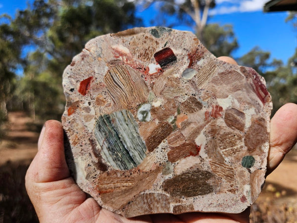 Polished Marillana Conglomerate slab MC129