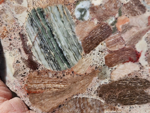 Polished Marillana Conglomerate slab MC129