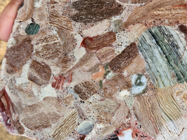 Polished Marillana Conglomerate slab MC129