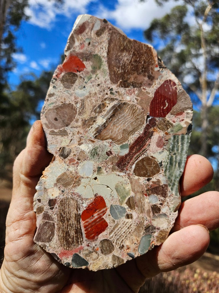 Polished Marillana Conglomerate slab MC130