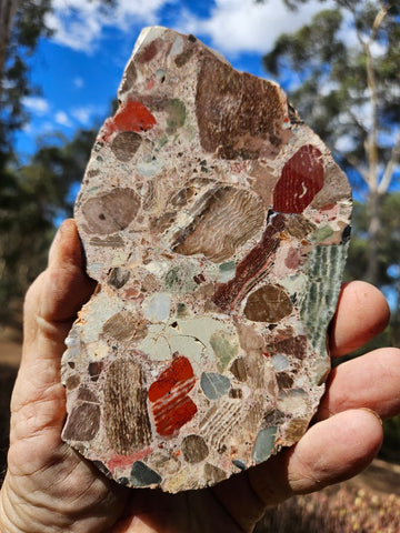 Polished Marillana Conglomerate slab MC130