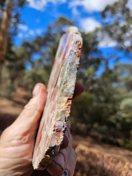 Polished Marillana Conglomerate slab MC130