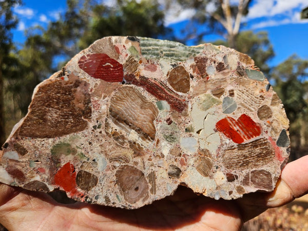 Polished Marillana Conglomerate slab MC130