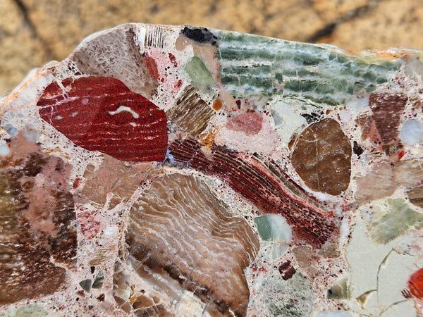 Polished Marillana Conglomerate slab MC130