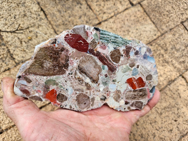 Polished Marillana Conglomerate slab MC130